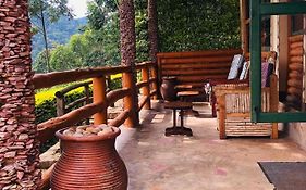 Bwindi Forest Lodge